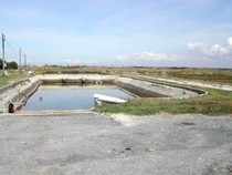 DSCN0022.JPG